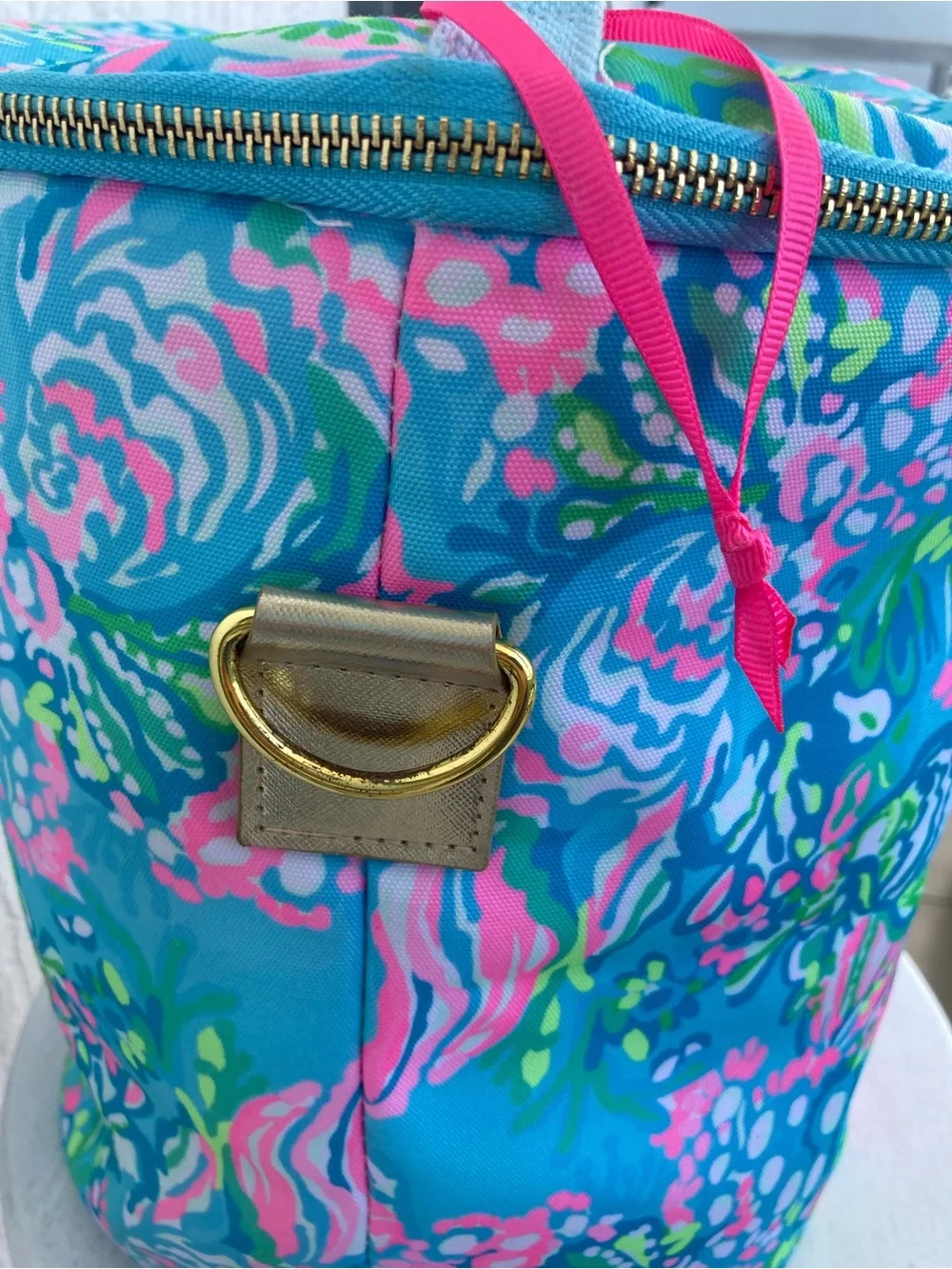 Lilly Pulitzer Insulated Beach Cooler Bag Best Fishes Blue Pink NO LONG STRAP